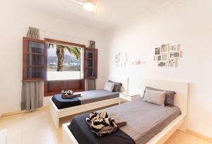 Casa XALISA
