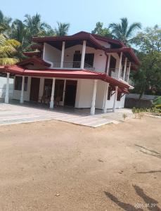 Paddy View