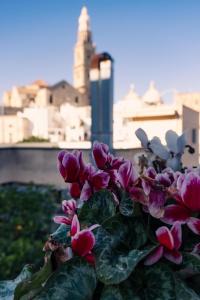 Terrazza Rossa di Millo