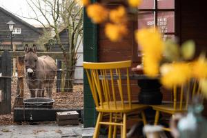 Sleeping among the sheep at Vrouwtje Poppy
