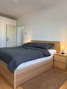 Prater Apartment near downtown