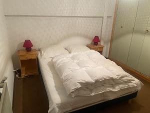 Gourette 10 couchages au pied des pistes