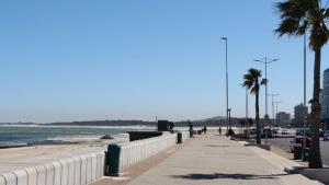 Pips Place Penthouse 501