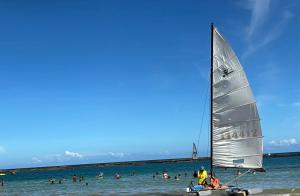 Sol, mar, equilíbrio perfeito praia do frances!