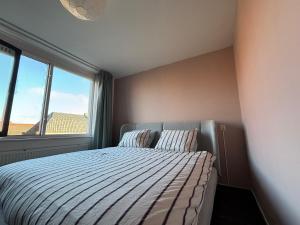 Lovely City Center Apartment