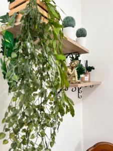 LA CASA DI GIADA - Self check-in - parcheggio privato- vicino autostrada di Imola