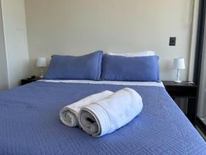 Cómodo departamento I Excelente ubicación I Zona Centro