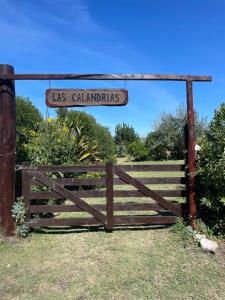 Las calandrias