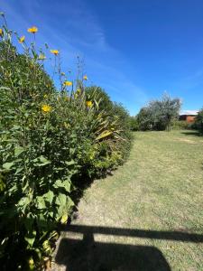Las calandrias