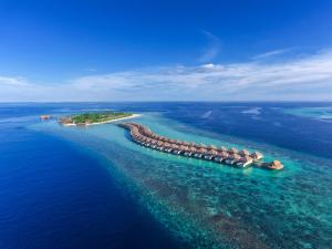 Hurawalhi Maldives (13 of 49)