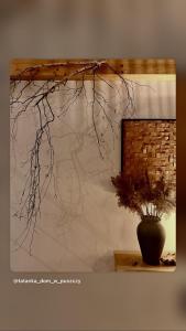 TATANKA Dom w Puszczy & SPA na Polanie