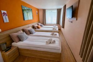 Guest House Todor