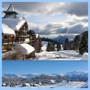 obrázek - Les Terrasses du Mont blanc