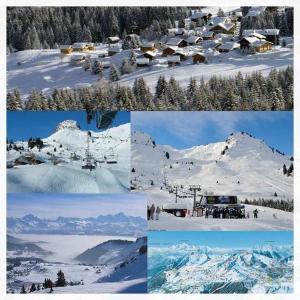 Appartements Les Terrasses du Mont blanc : photos des chambres