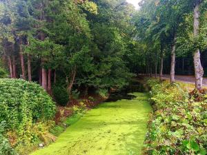 4 person holiday home in Tønder-By Traum