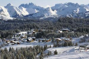 Appartements Les Terrasses du Mont blanc : photos des chambres