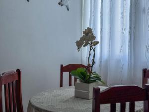 Apartamento Completo Próximo a Praia de Copacabana