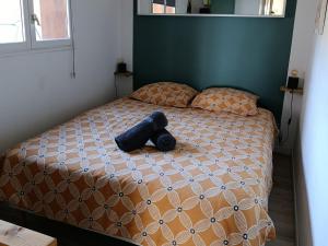 T3, 6 couchages 60m2 piscine, tennis vue sur lac