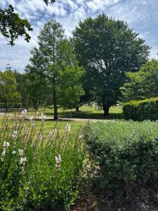 Wingana a Rural retreat in Bundanoon