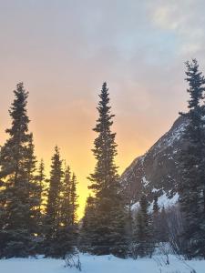 Little Bear Getaway Cabins