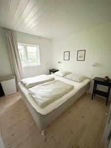 Nordic Style And Light In Rågeleje Home