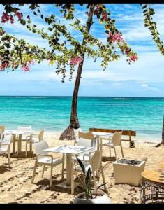 Your Beautiful Village Central 5 Min from the Beach