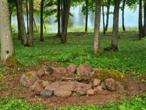 Comfy house by the lake in nature park