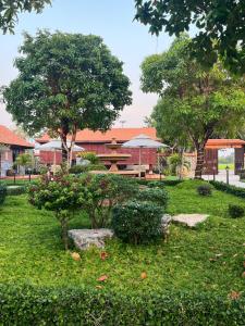 Melalueca tây ninh