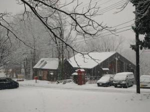 Woody House Kazamidori