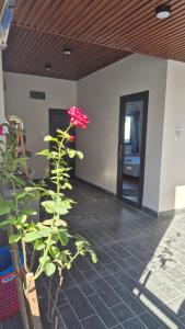 Dan Family Homestay