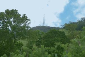 Peaceful Peak