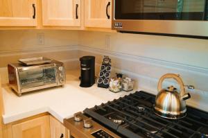 Bearly Connected, a brand new cabin in the woods