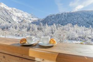 Résidence Grand Roc - Bruyères 106 - Happy Rentals