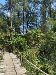 Uwak Gallery