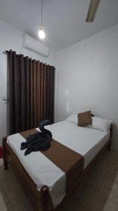 Stay Suite