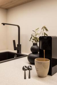 Old Town Olive Studio Apartment