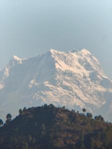 Vasantvasoj Homestay