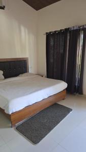 The Jungle Castle Resort