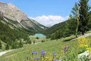 Résidence Bellevue E - Trois pièces 7 pers. BELLEVUE E à Orcières Merlette - Alpes du Sud MAE-7494