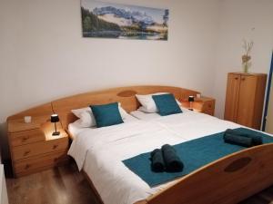 Allgäu Space