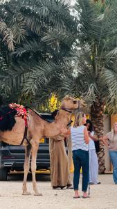 جوهرة الرستاق السياحية Jawharat Al Rustaq Resort