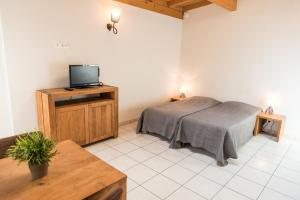 Appart'hotels L'Aurore du Lac : Studio (1-2 Adultes)