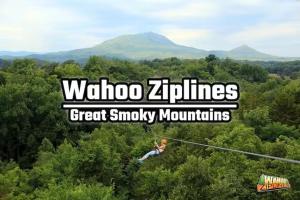 Modern Mountain Escape with Private Hot Tub