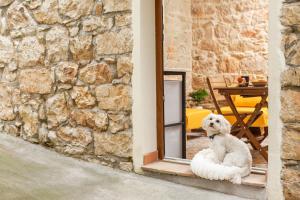 Climbing House img10