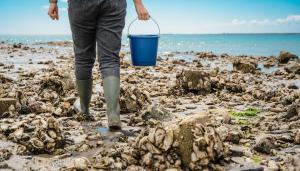 Beachside Room for 2 - Close to the shore