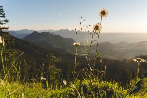 PanoramaLodge Samerberg