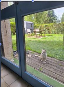 Cottage cosy avec jardin, piscine, tennis et parking