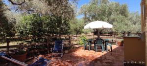 Campagna De Mercedes img21