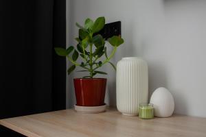 Modern Apartment with AC, Dishwasher and Walk-in Closet