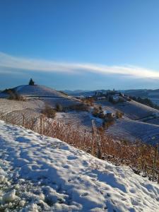 Beautiful private house among the Moscato vineyards
